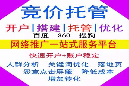 专业sem托管服务案例，揭秘广告投放优化策略
